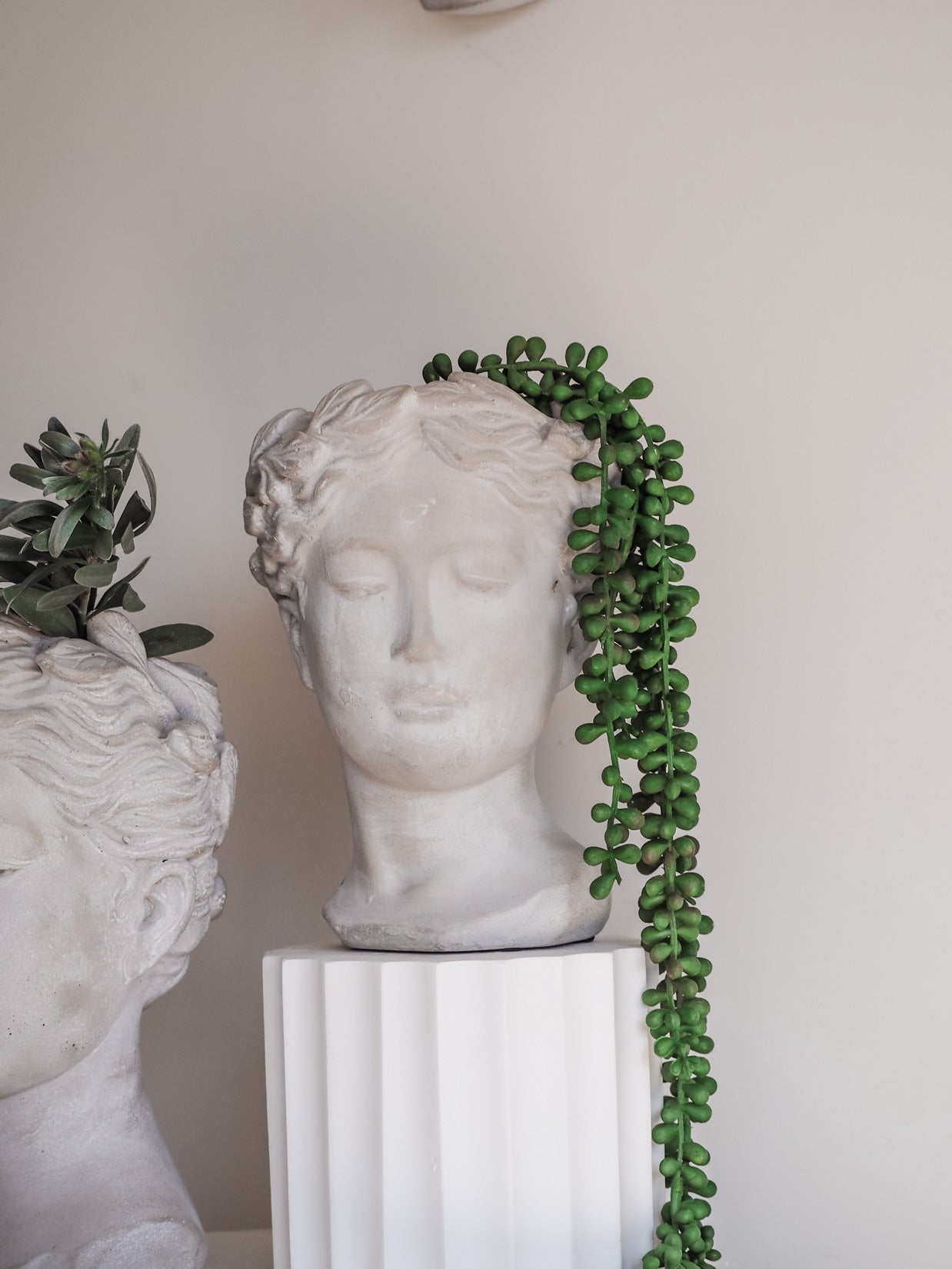 Isabella | Cement head Planter