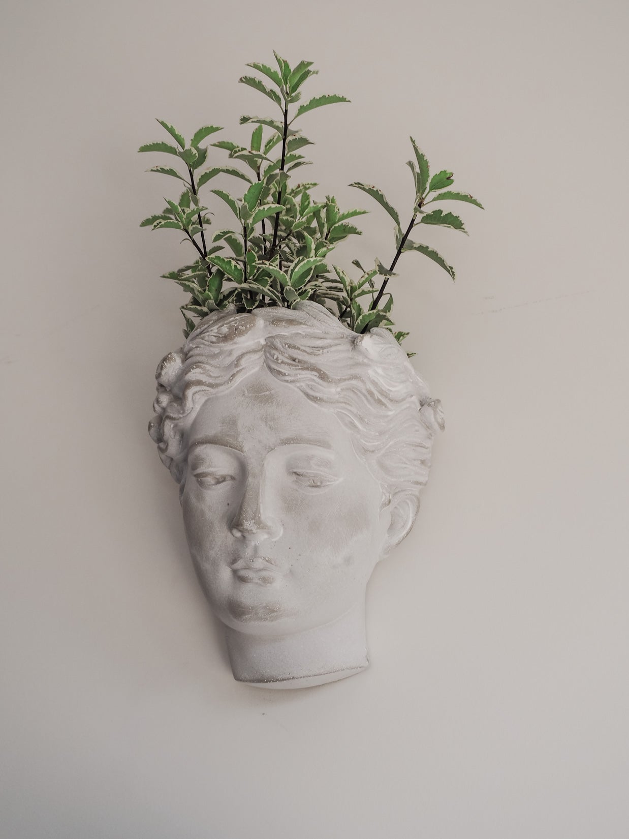 Mia | Cement head Planter