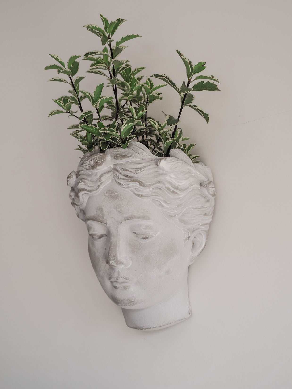 Mia | Cement head Planter