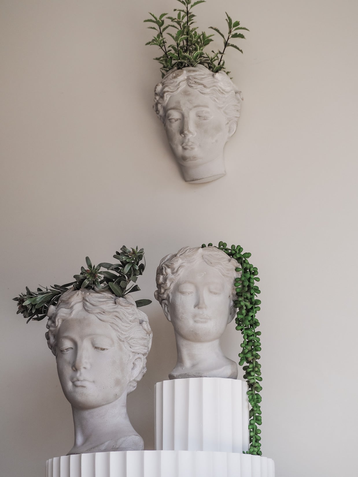 Isabella | Cement head Planter