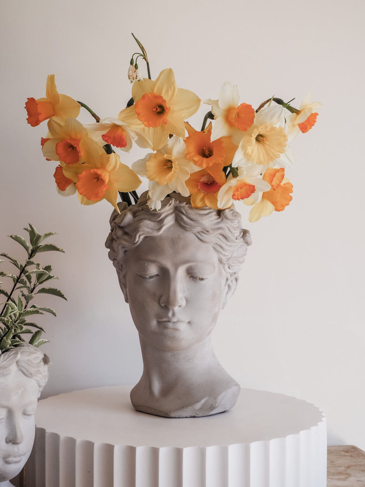 Naiomi | Cement head Planter