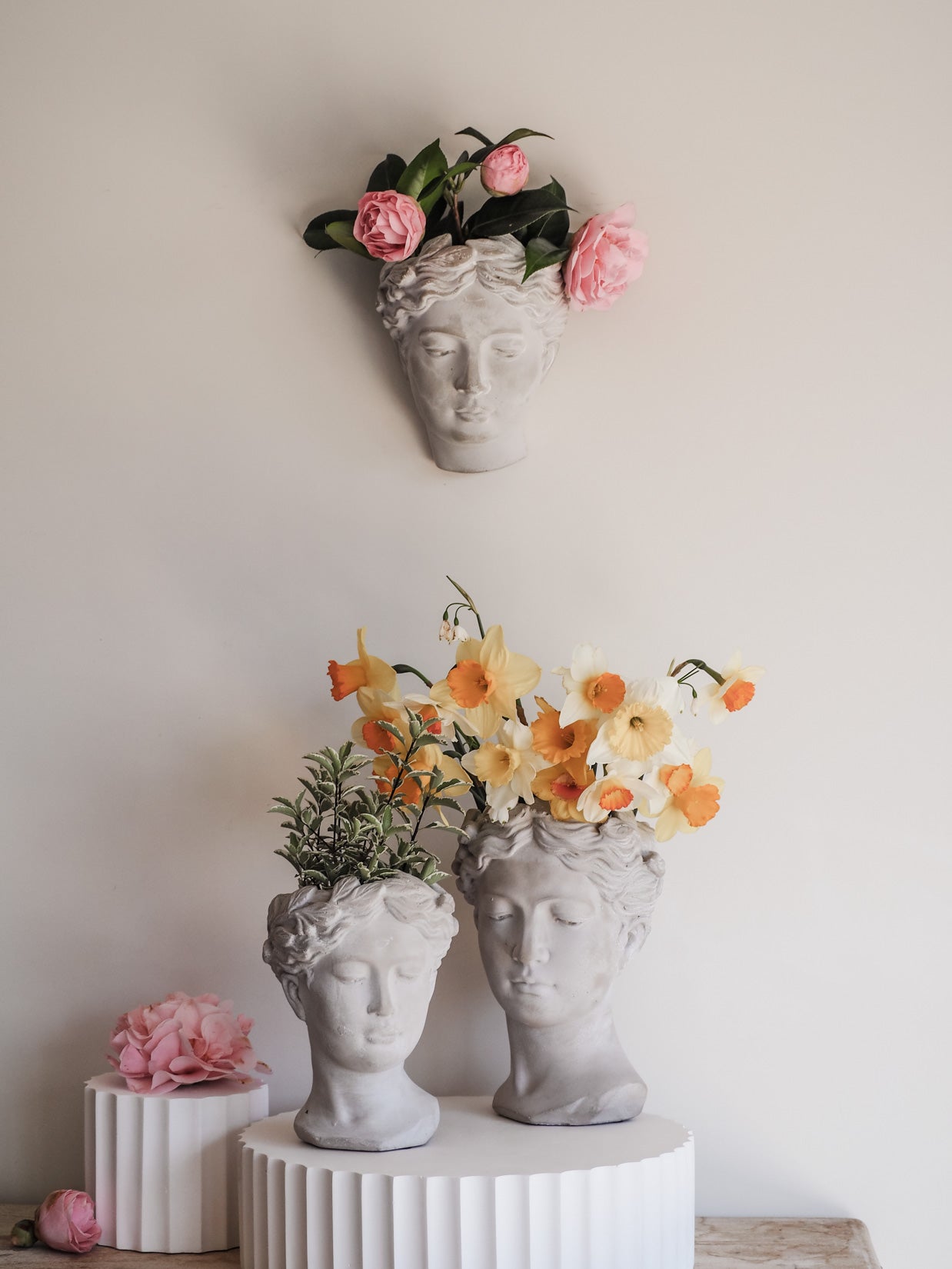 Isabella | Cement head Planter