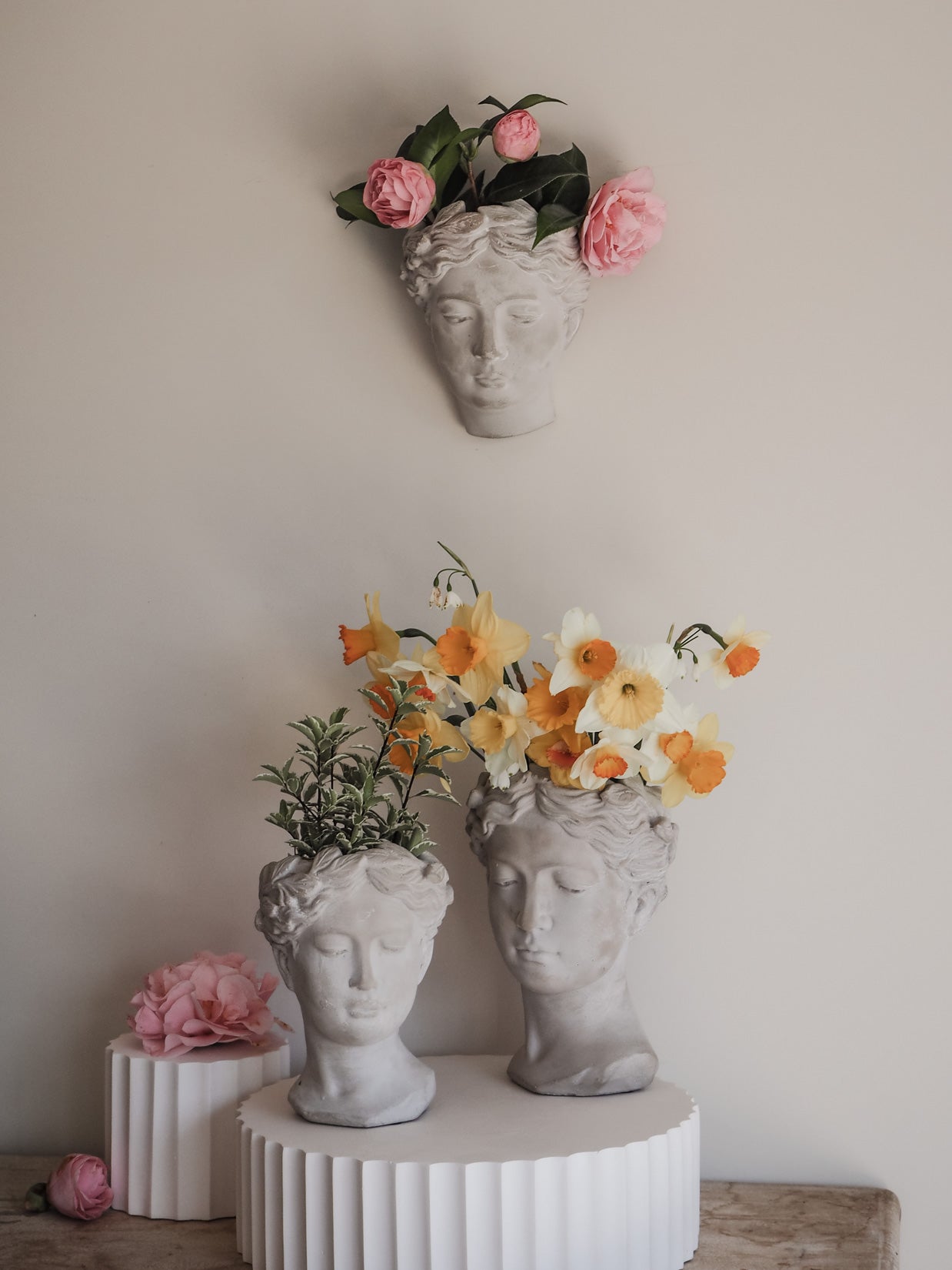 Naiomi | Cement head Planter