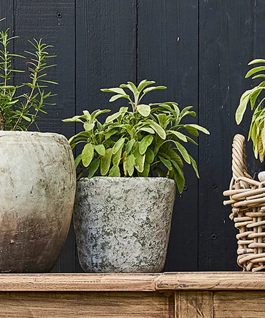 Verde Plant Pot | 16cm