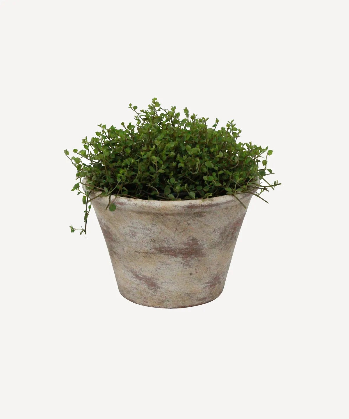 Providence Wide Plant Pot | 25cm