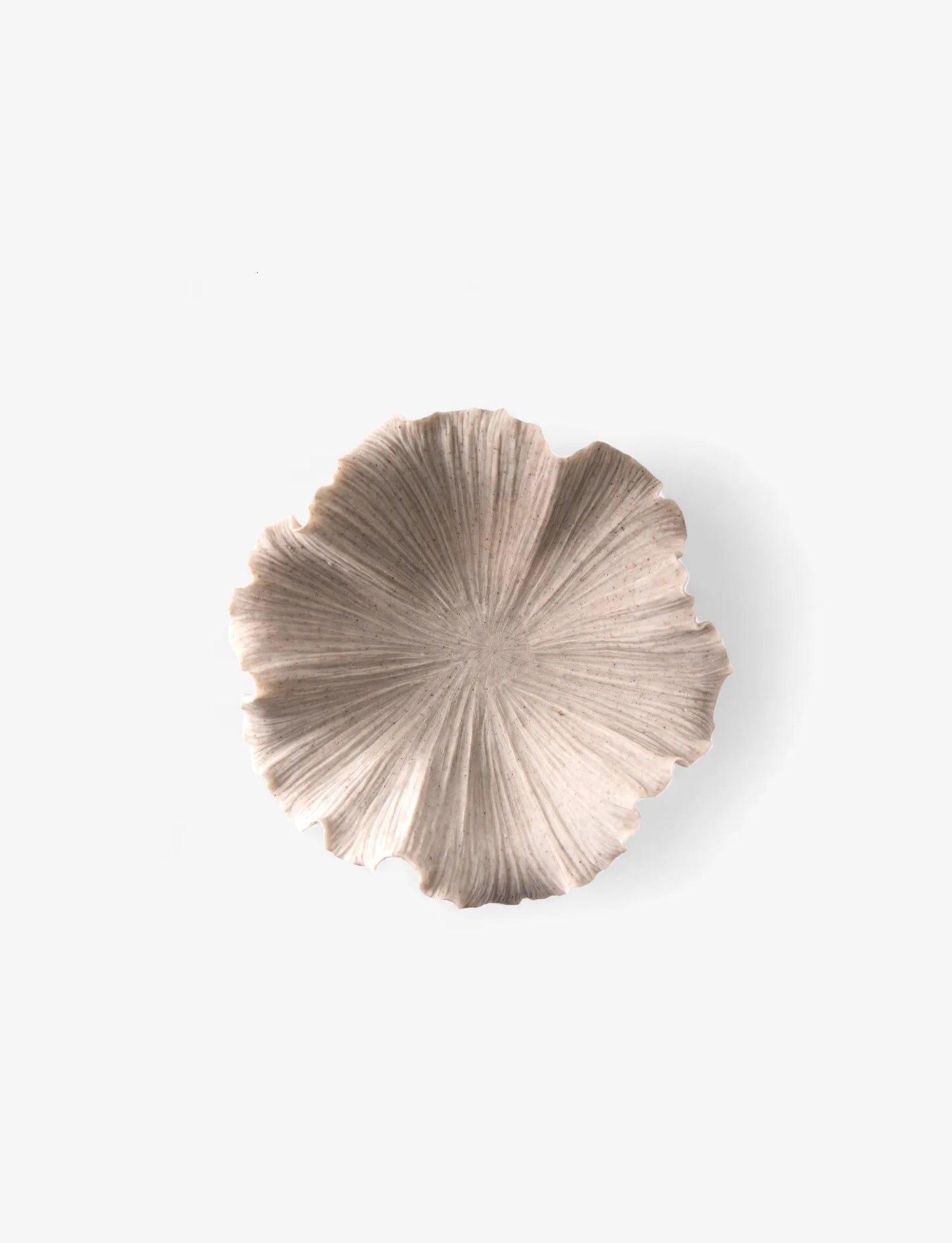 Ribbed Shell Bowl - White