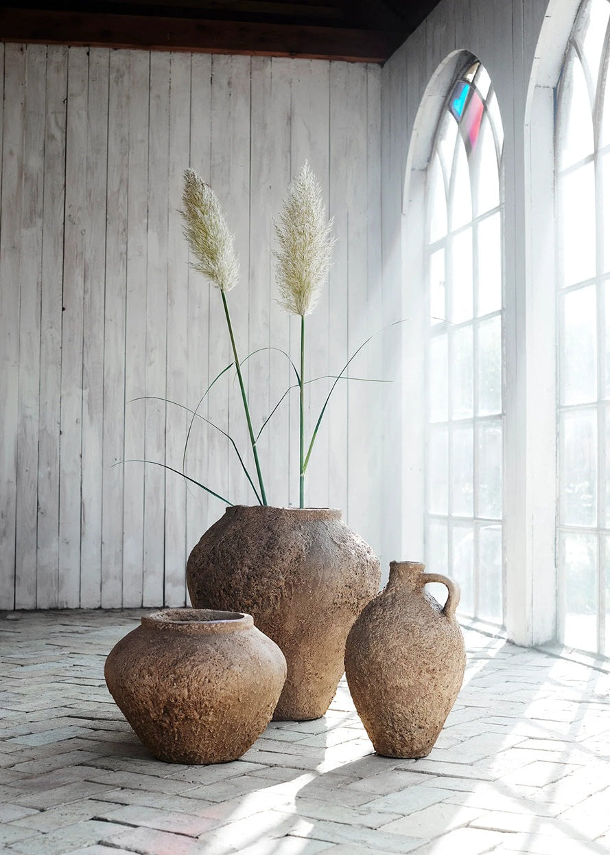 Three terracotta pots with plants on a wooden floor in a room with large windows.