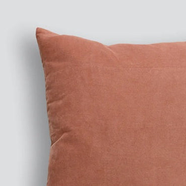 Brown pillow on a light gray background