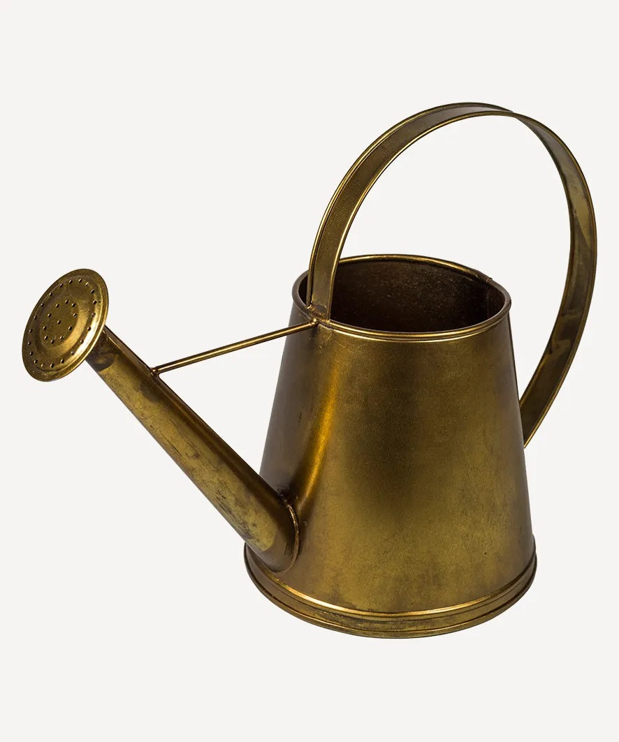 Gold Alloy Watering Can