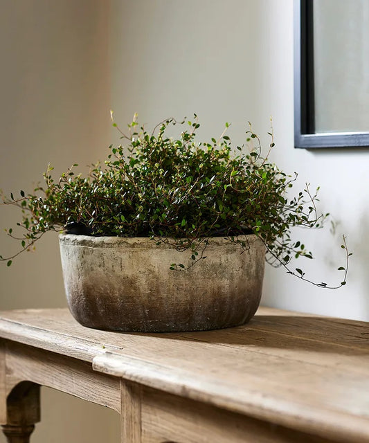 Textured Wide Plant Pot | 21cm