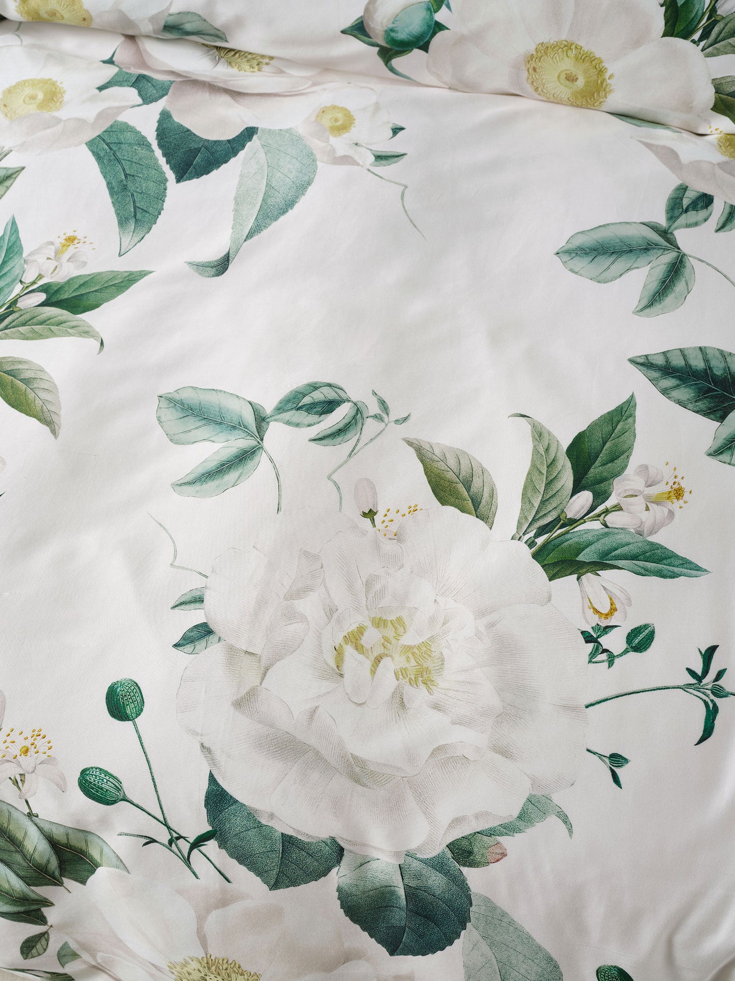 Botanical Harmony Duvet Cover Set