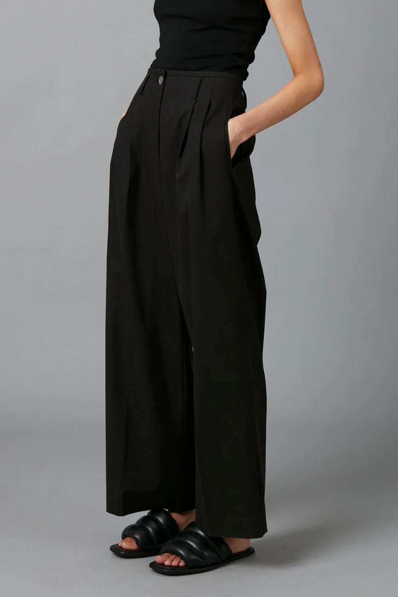 Person wearing black wide-leg pants on a gray background