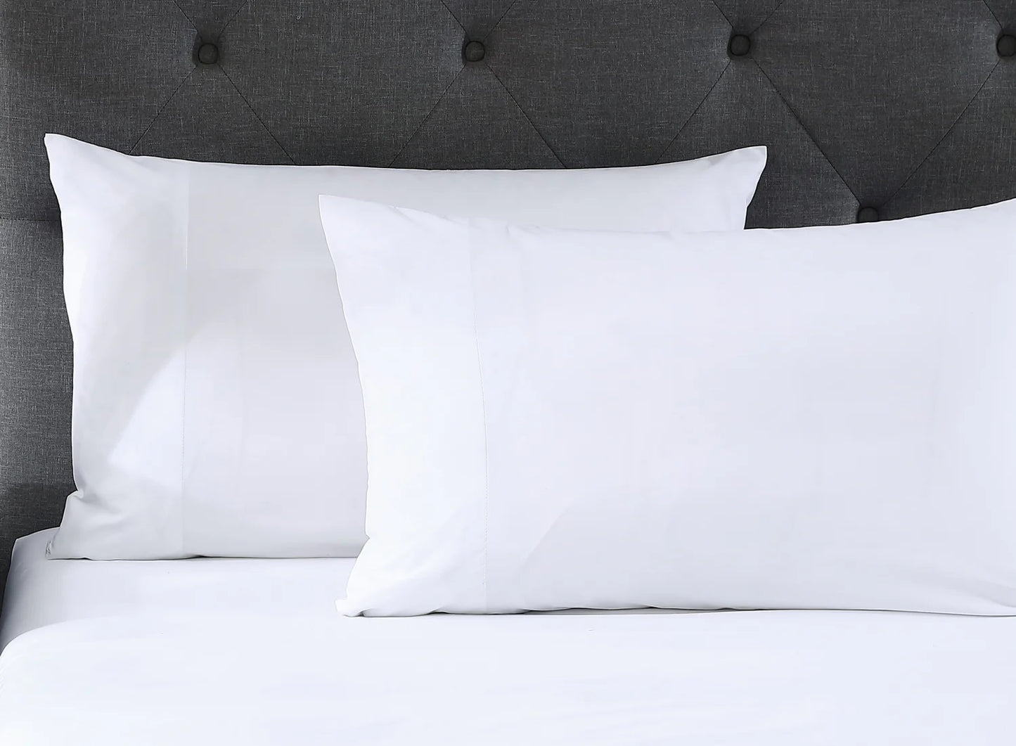 PURE EGYPTIAN COTTON: Flat Sheet | Made in New Zealand