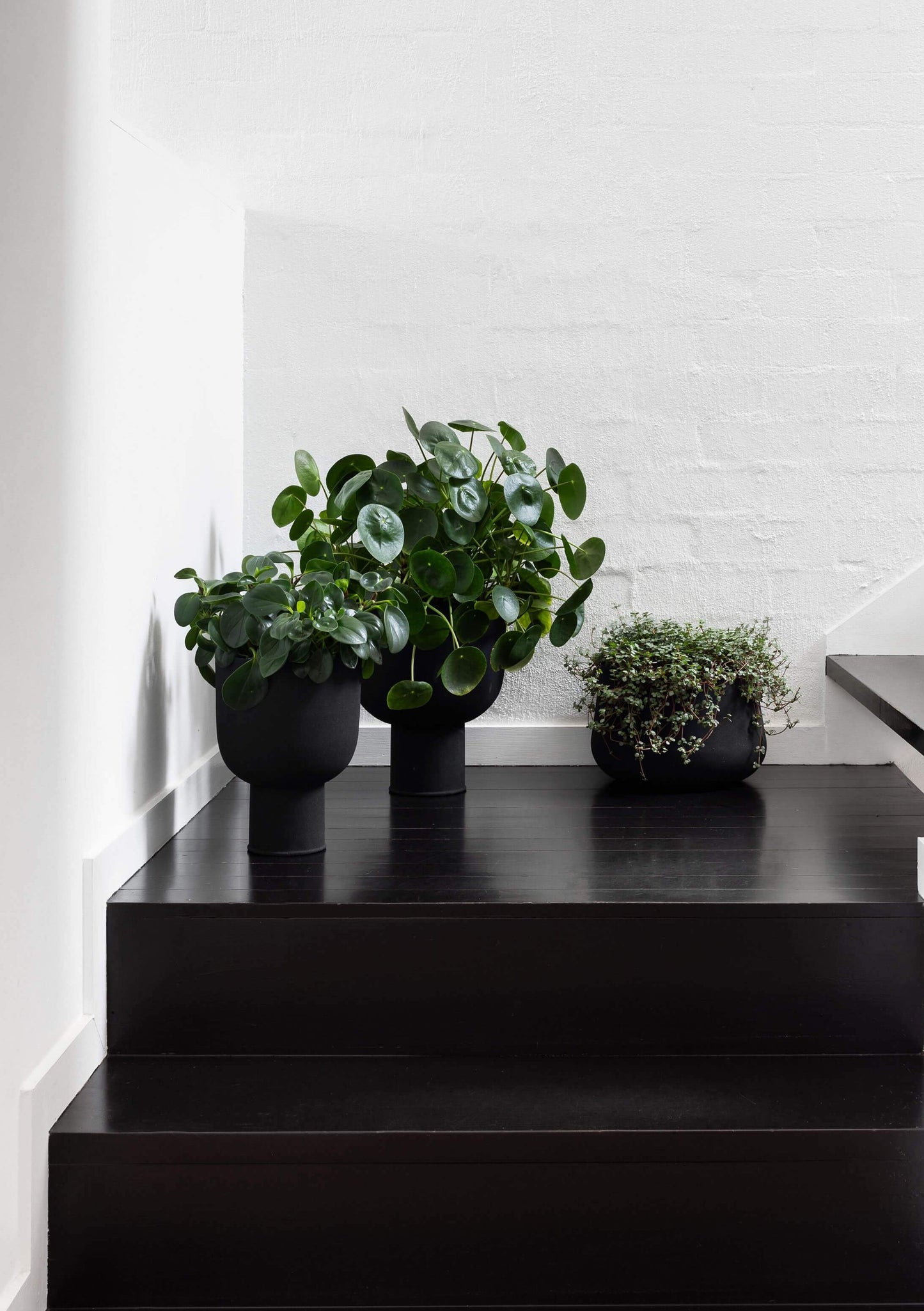 Set of 3x Iron Planters | Black