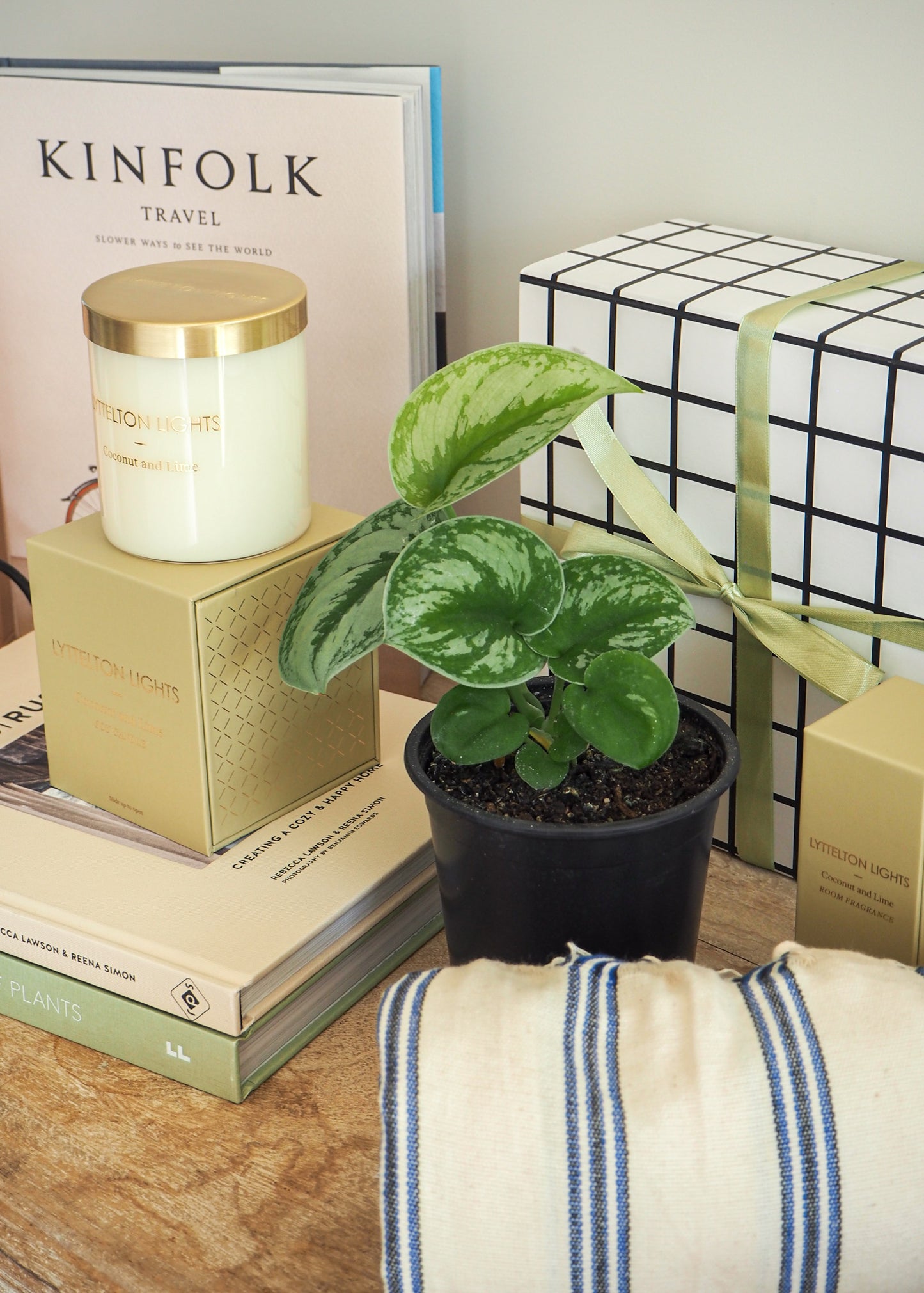 SCINDPSUS SATIN POTHOS | Indoor Plant