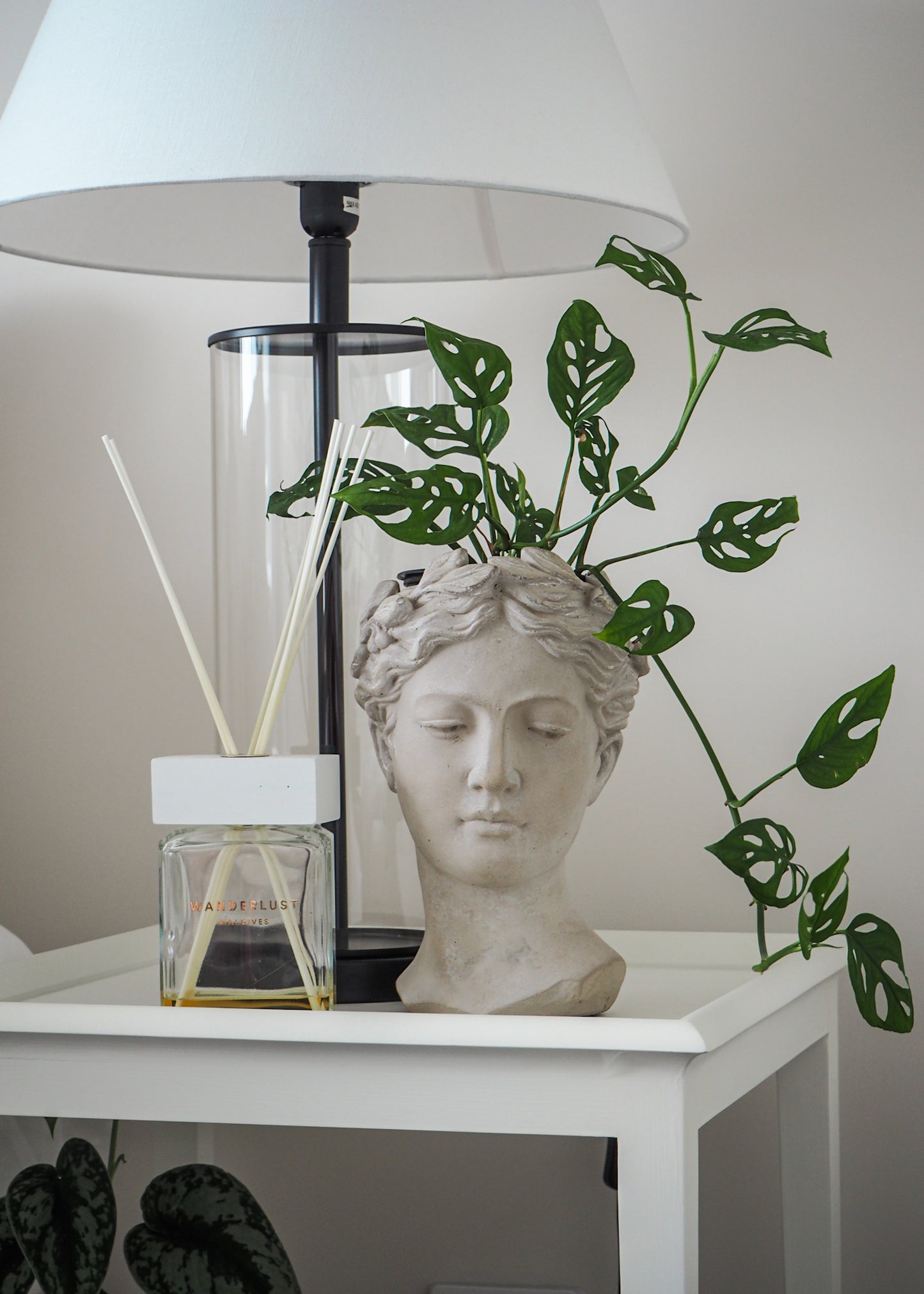 Naiomi | Cement head Planter