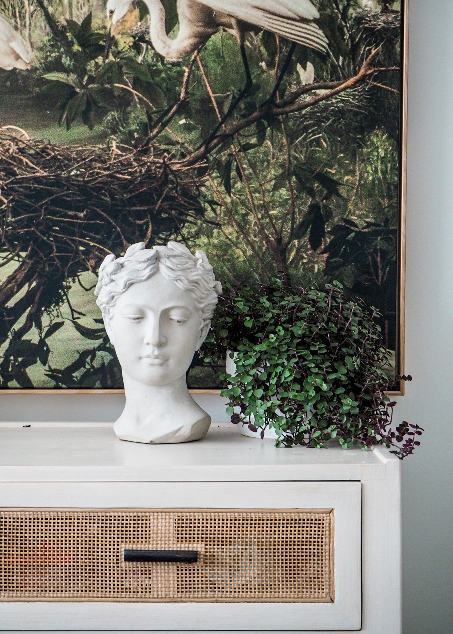 Naiomi | Cement head Planter