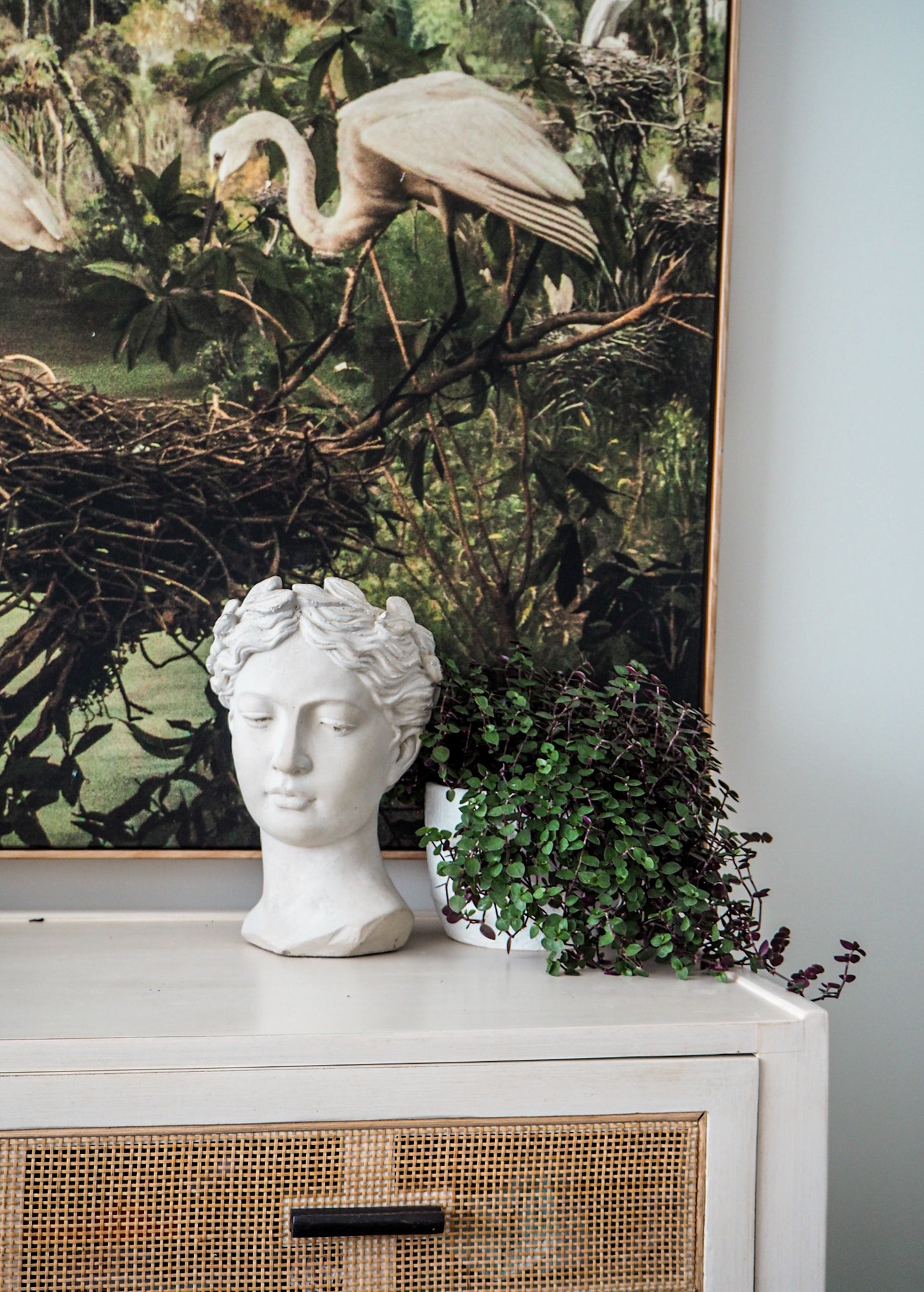 Naiomi | Cement head Planter