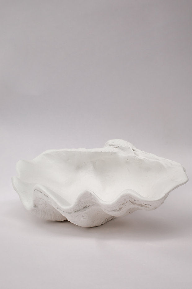 Handmade Giant Clamshell display bowl