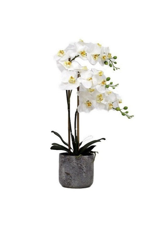 REAL TOUCH ORCHID | STONE