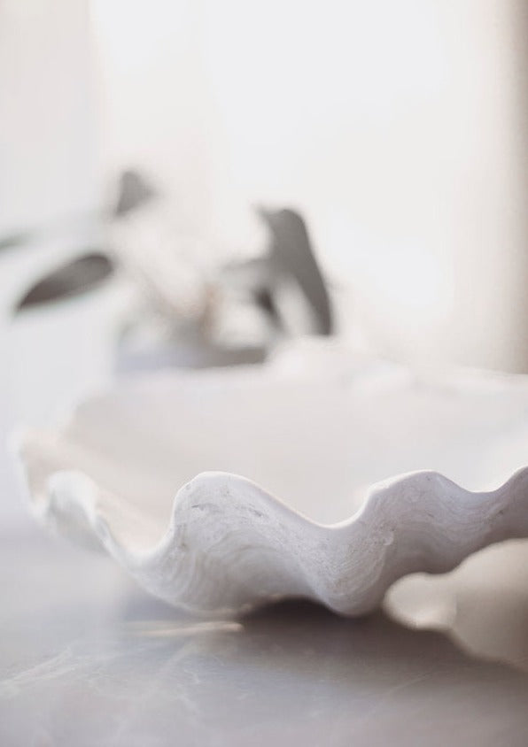 Handmade Giant Clamshell display bowl
