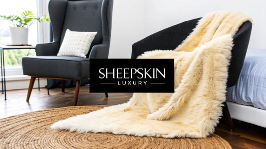A Guide to the New Zealand Sheepskin Rug
