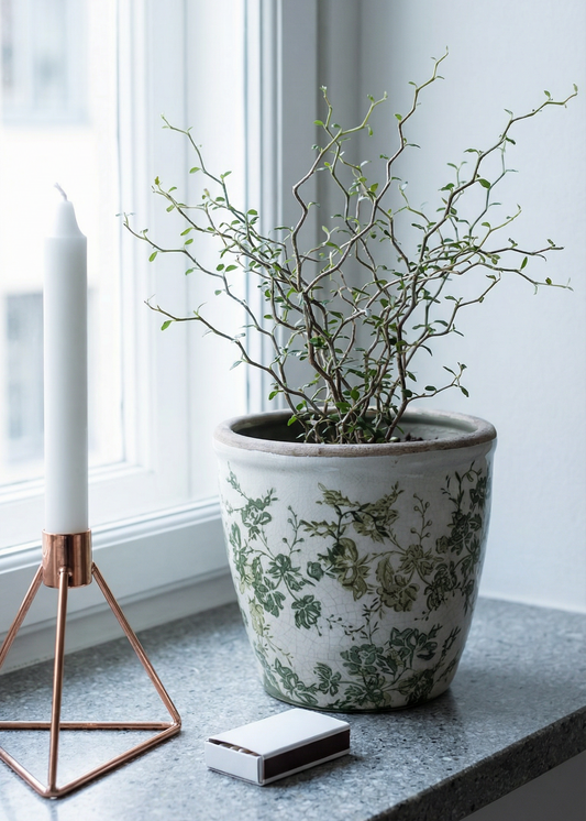 Potted plant on a windowsill with a candle and small box.