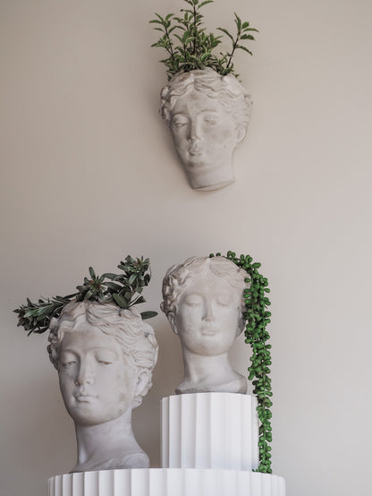 Isabella | Cement head Planter