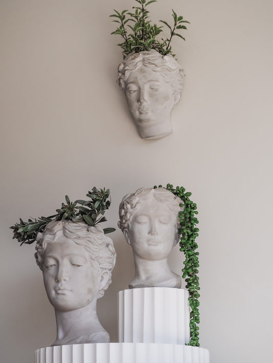 Isabella | Cement head Planter