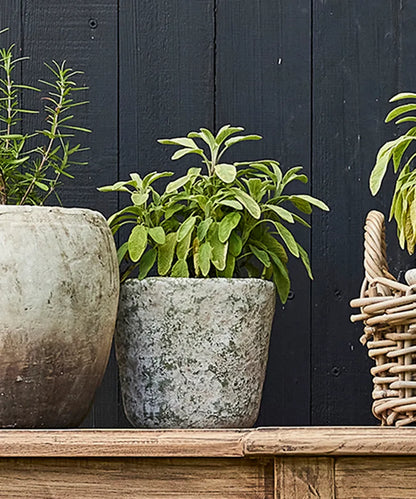 Verde Plant Pot | 16cm