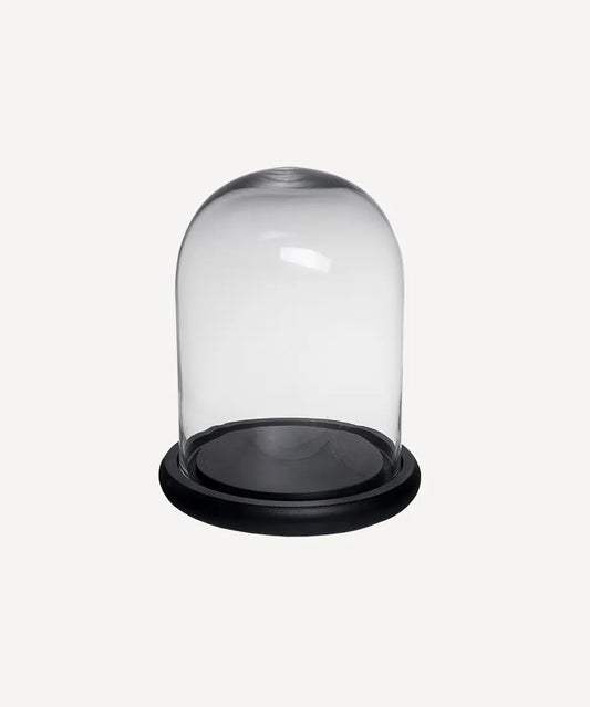 Clear glass dome with black base on a white background