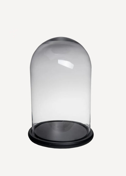 Clear glass dome with black base on a white background