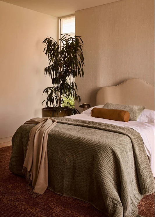 Bedroom with a bed, plant, and lamp in a warm-toned room.