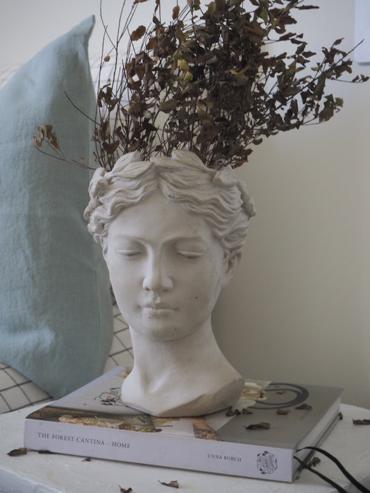 Naiomi | Cement head Planter