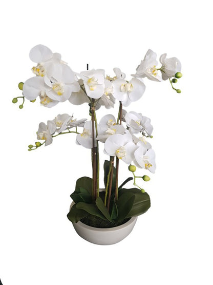 Potted Real Touch Orchid | White Planter