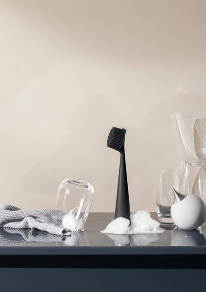 Nylon Dish Brush | Black