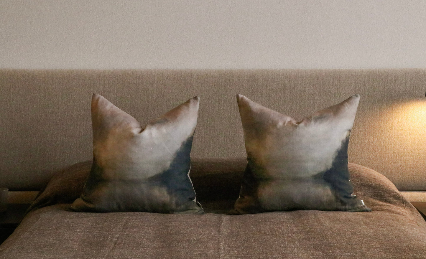 Winter Reflection Cushion