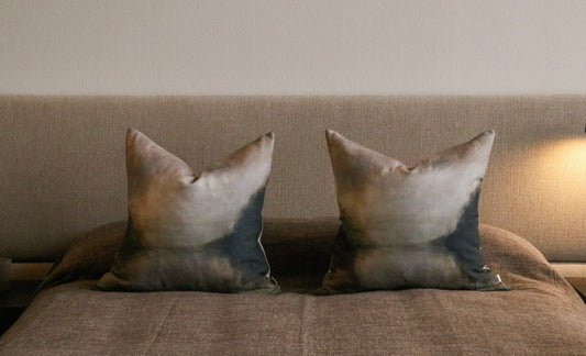 Winter Reflection Euro Cushion
