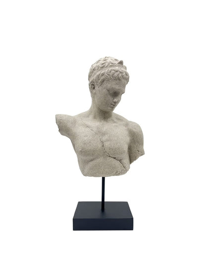 Male Bust
