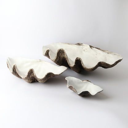 Resin Clam Shell