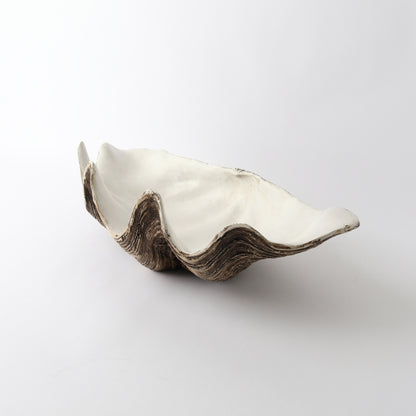 Resin Clam Shell