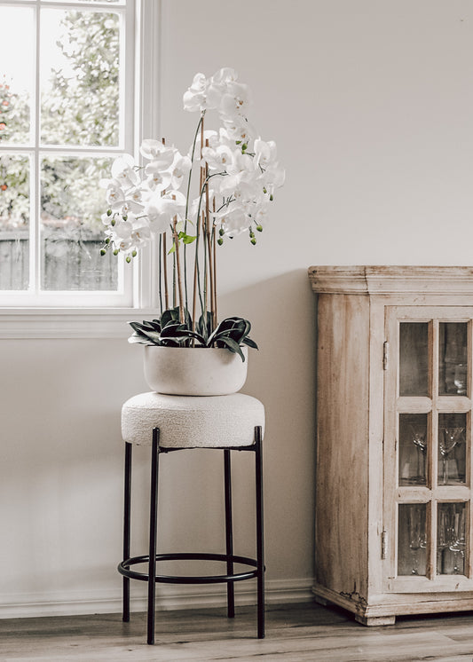 Potted Real Touch Orchid | White Planter