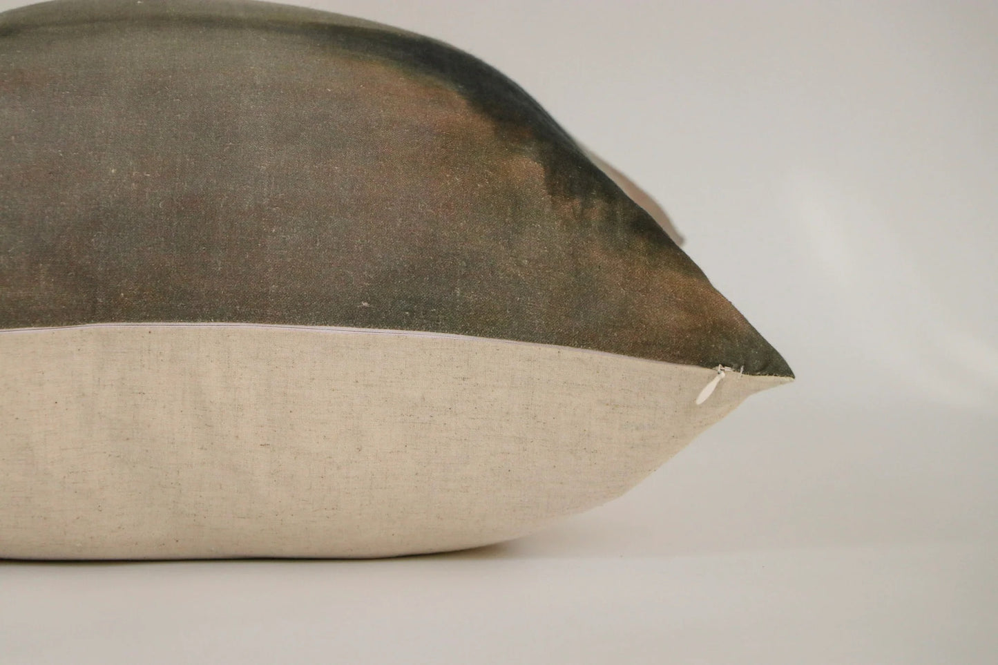 Winter Reflection Cushion