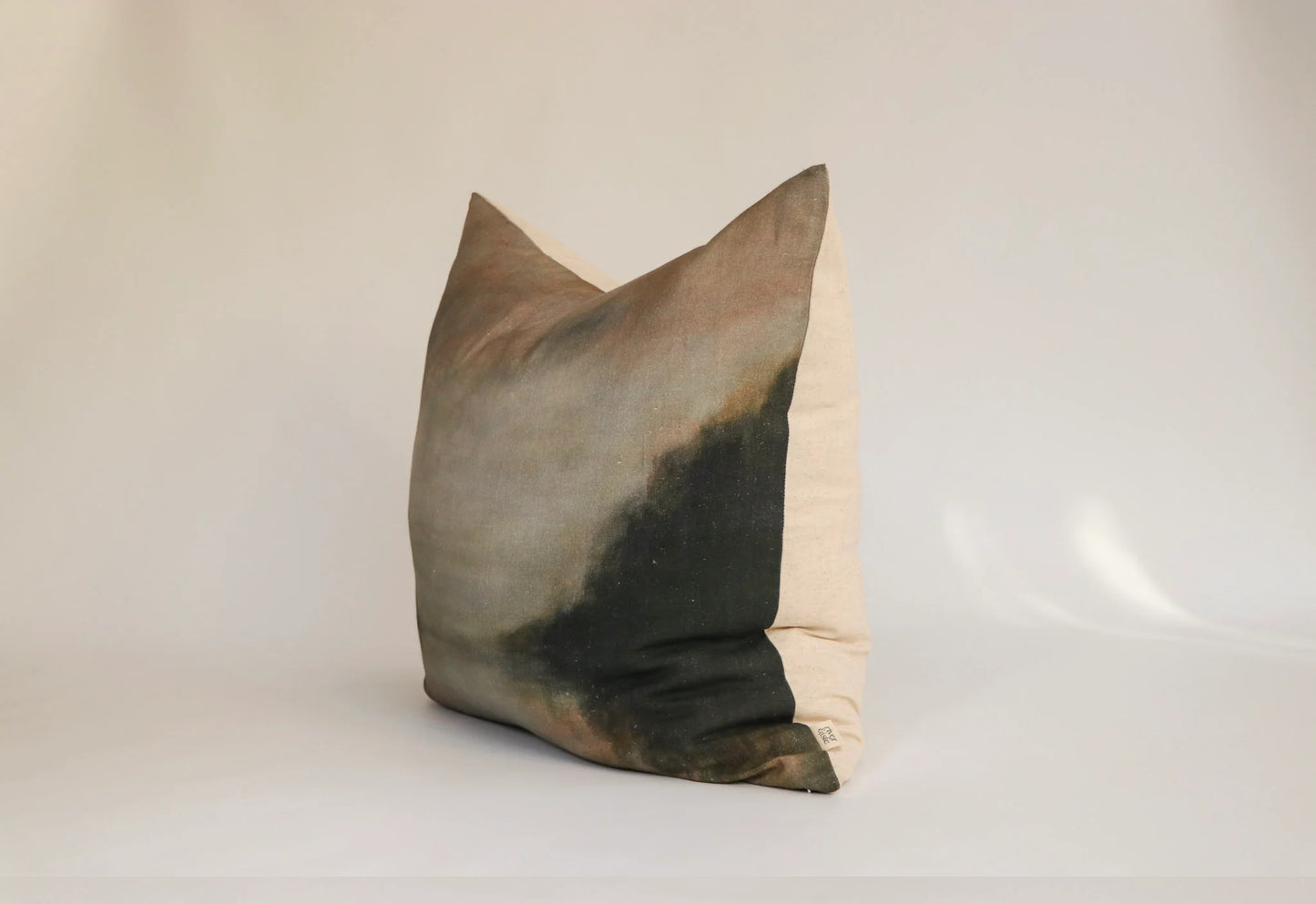 Winter Reflection Cushion