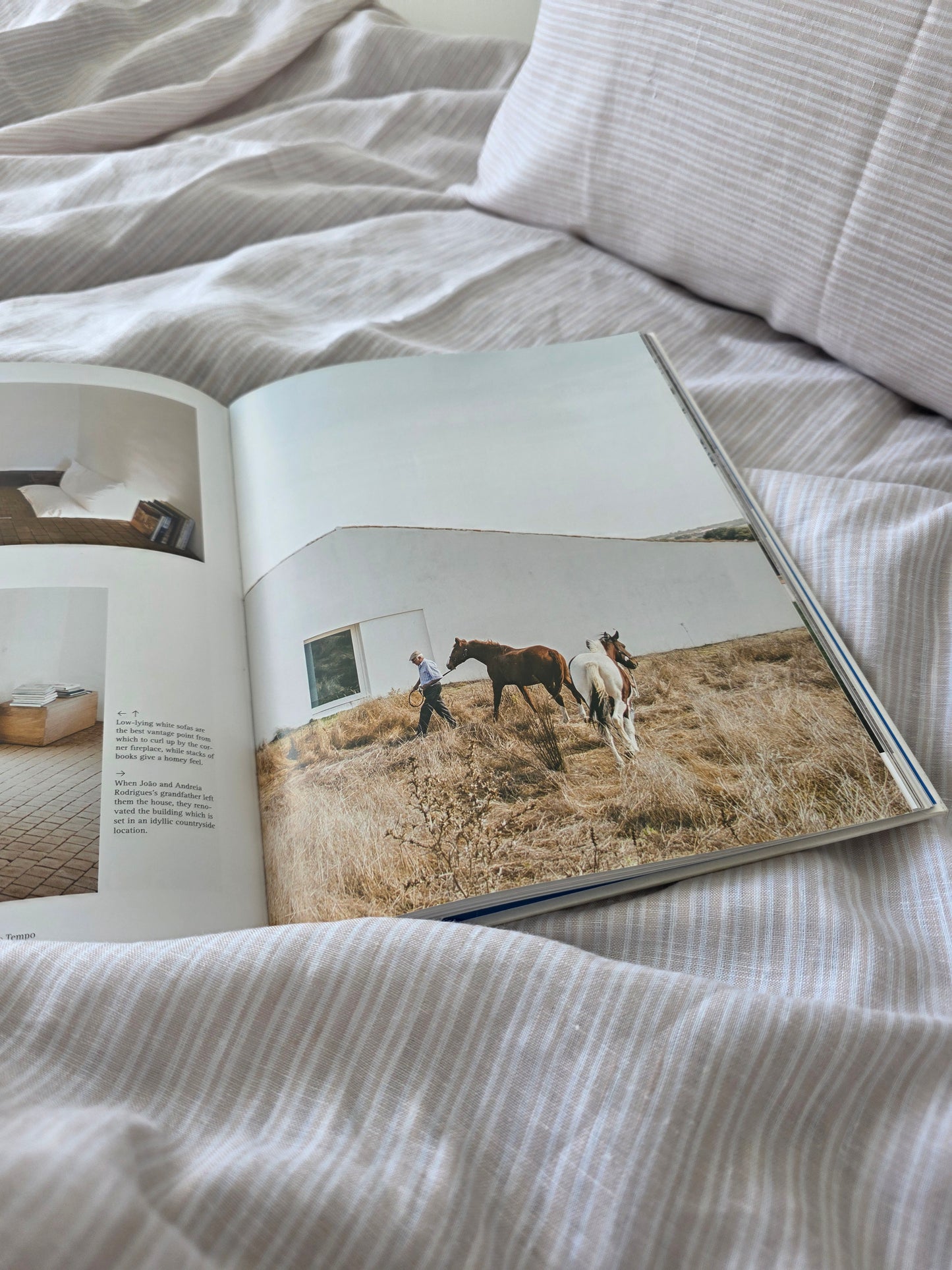 The Align Duvet Cover in Quartz Stripe  - Made in New Zealand