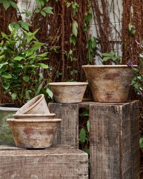 Providence Wide Plant Pot | 25cm – The Foxes Den