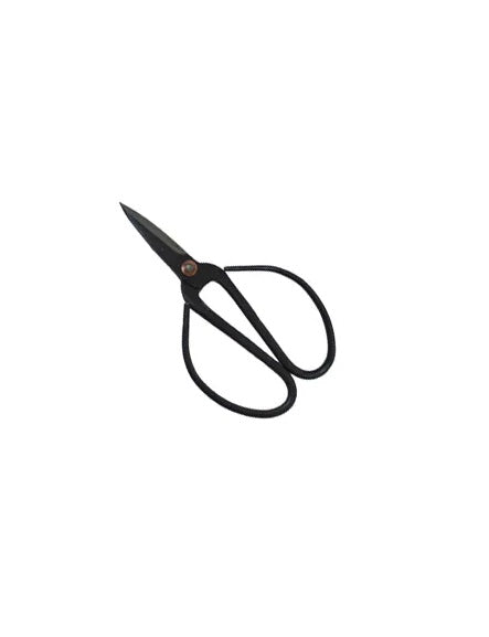 Black Herb Scissors | Small