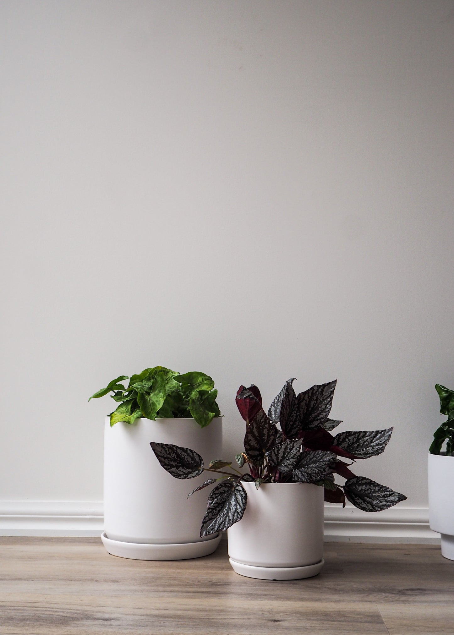 Ceramic Planter | White | 25cm