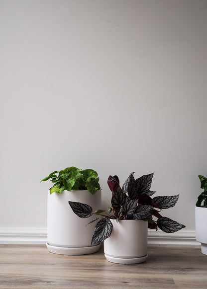 Ceramic Planter | White | 25cm