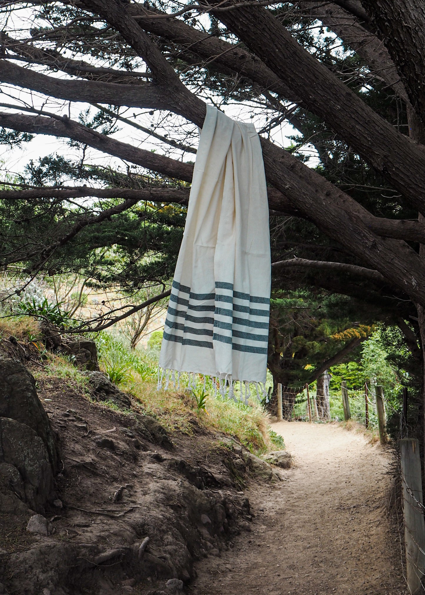 Turkish Beach Towel | Off White & Black Stripe